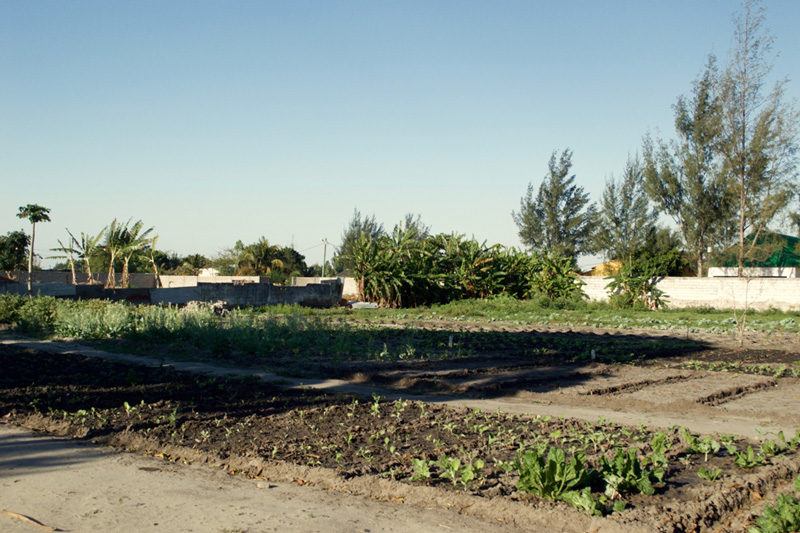 Photograph of REMAR Portugal social work