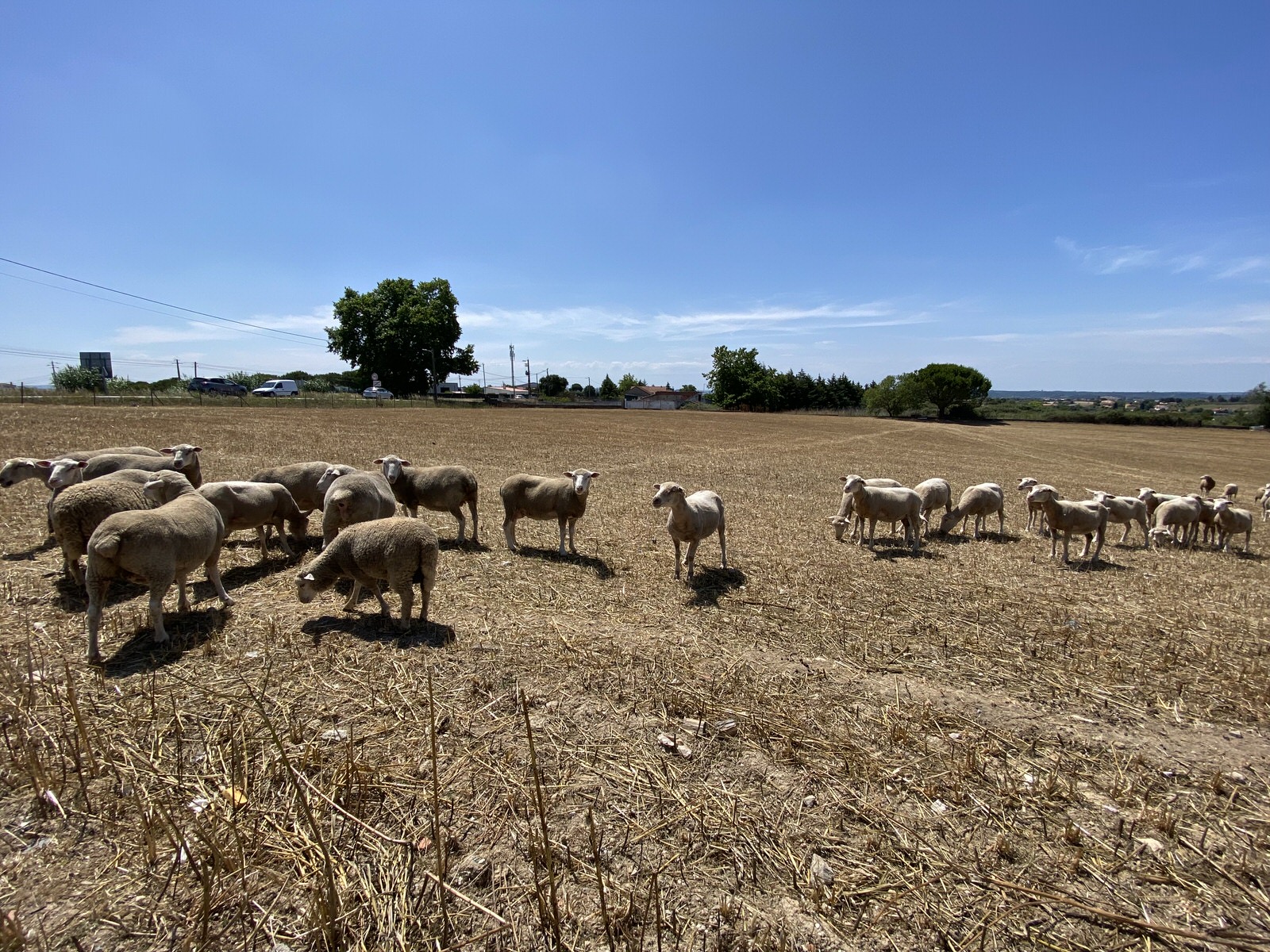 Photograph of REMAR Portugal social work